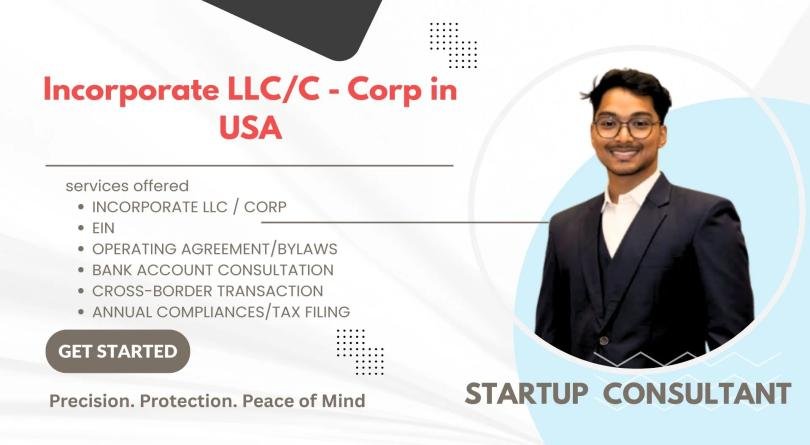 I will incorporate an llc or a c corp in the USA